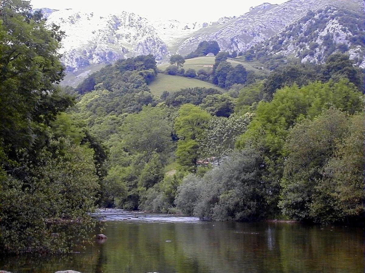 Apto Valle Encantado, Vistas Preciosas En Urbanizacion Con Piscina Gibaja Exteriör bild